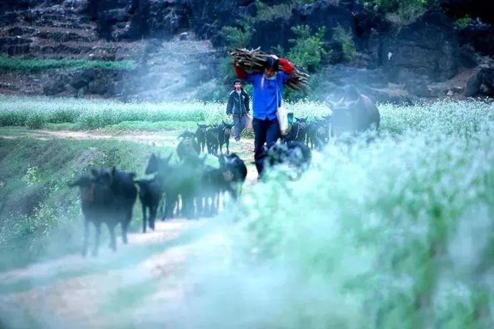 抖音怎么关闭别人推荐的视频-专业问答网站